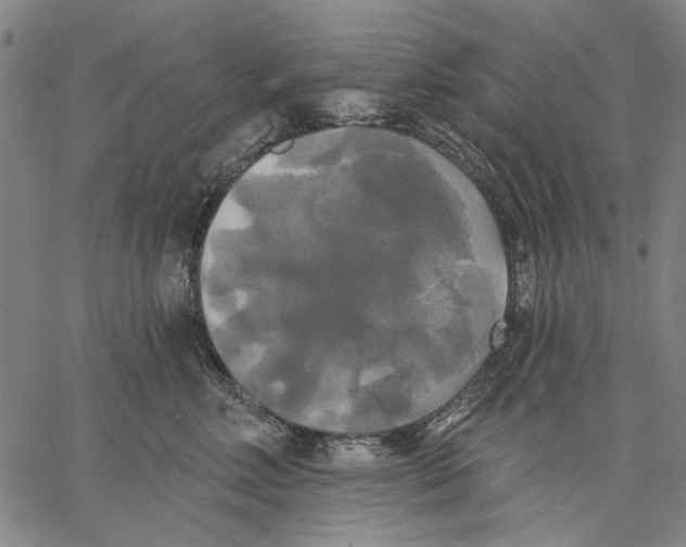 X0000067390618200604211635