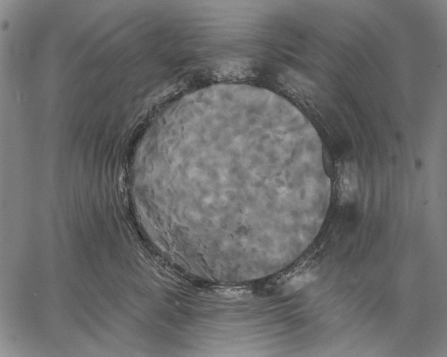 X0000067390619200604211635