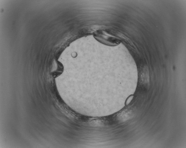 X0000067390620200604211635