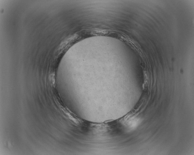 X0000067390621200604211635