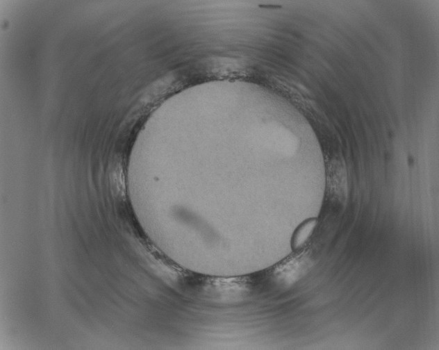 X0000067390622200604211635