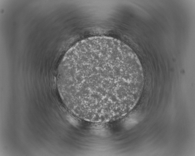 X0000067390624200604211635