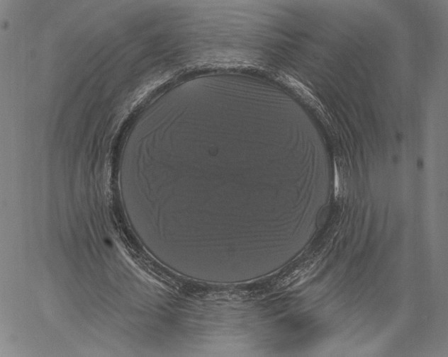 X0000067390627200604211634