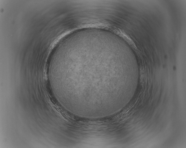 X0000067390628200604211634