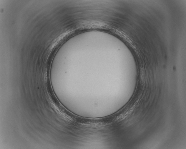 X0000067390629200604211634