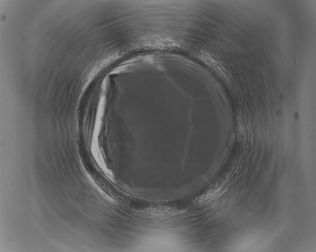 X0000067390630200604211634