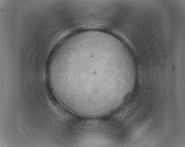 X0000067390631200604211634