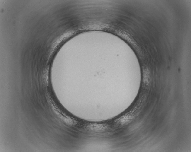 X0000067390632200604211634