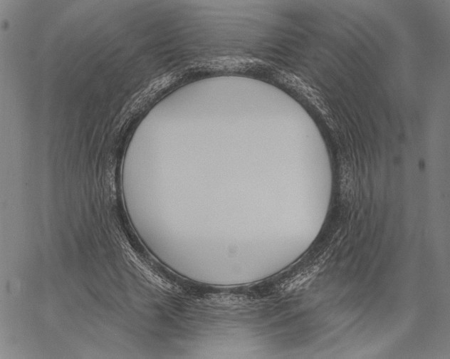 X0000067390633200604211634