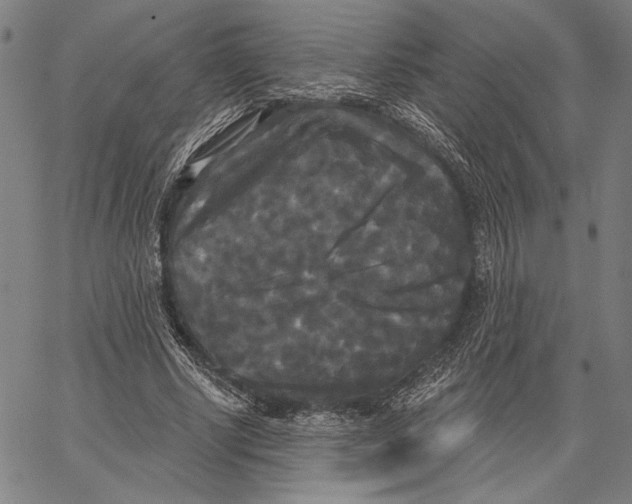 X0000067390634200604211634