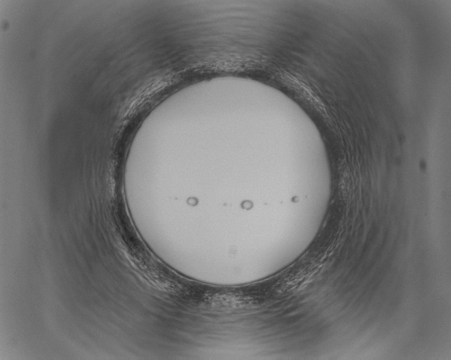 X0000067390635200604211634