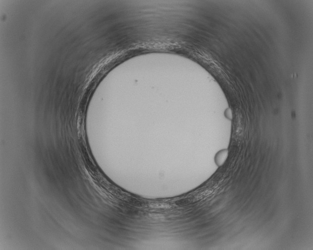 X0000067390636200604211634