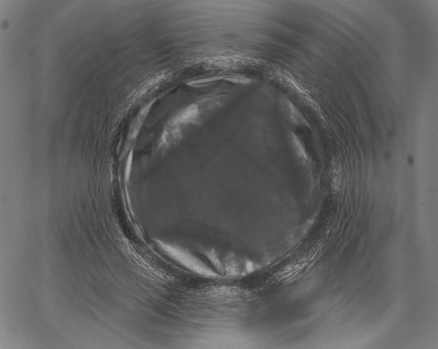 X0000067390637200604211634