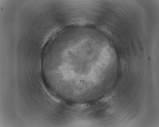 X0000067390638200604211634