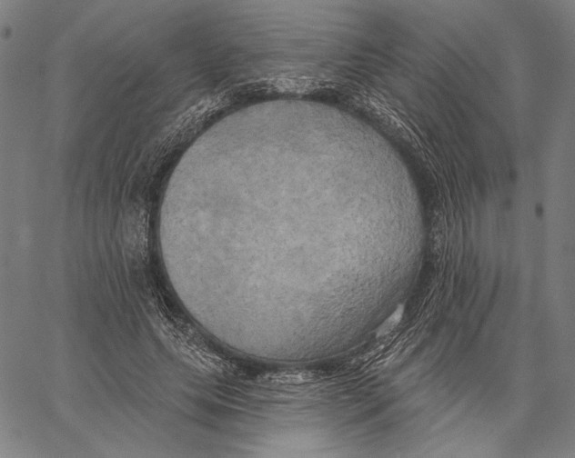 X0000067390639200604211634