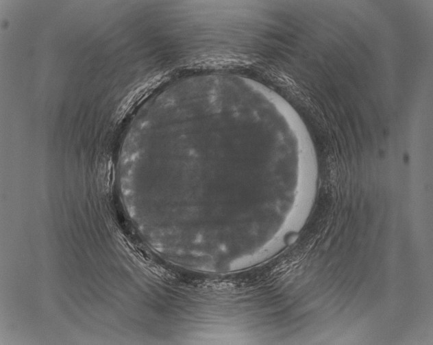 X0000067390640200604211634