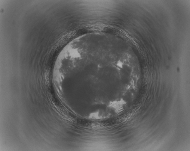 X0000067390641200604211634