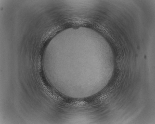 X0000067390642200604211634