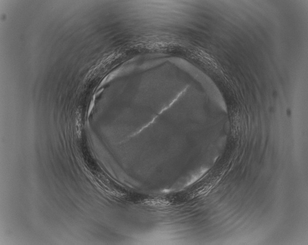 X0000067390644200604211634