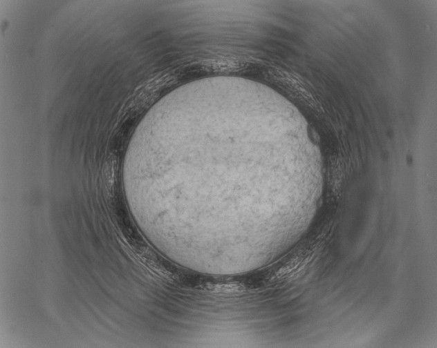 X0000067390645200604211634