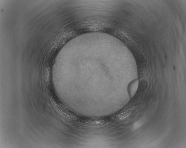 X0000067390646200604211634