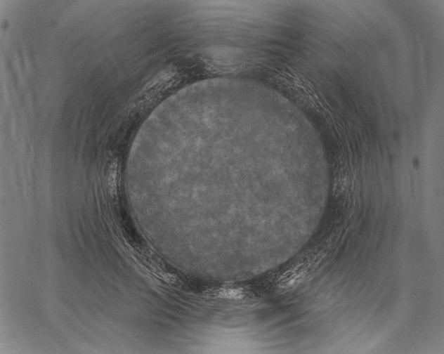 X0000067390647200604211634