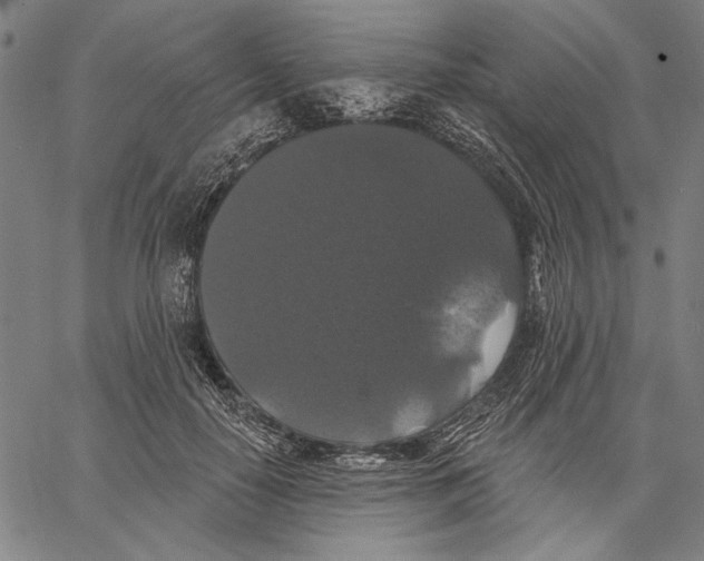 X0000067390650200604211634