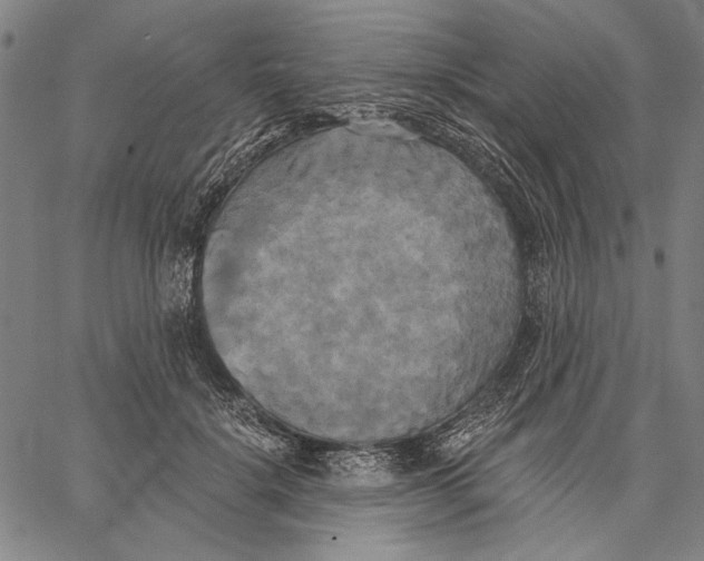 X0000067390652200604211634