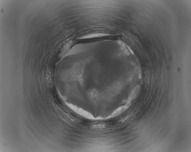 X0000067390653200604211634