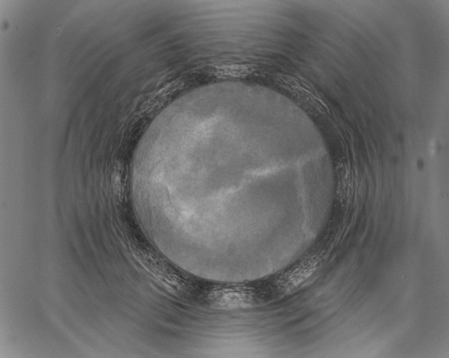 X0000067390655200604211635