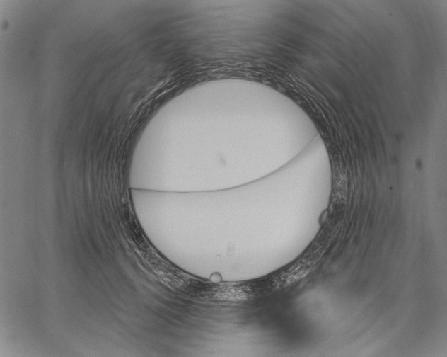 X0000067390656200604211635