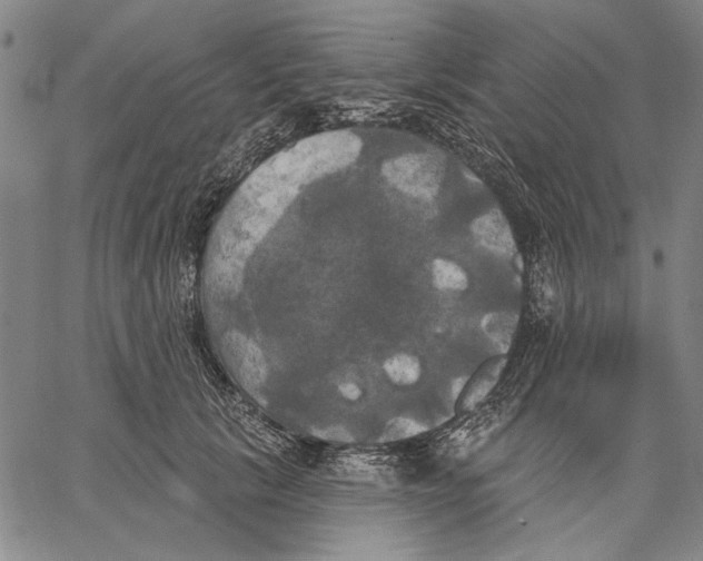 X0000067390657200604211635