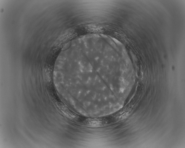 X0000067390658200604211635