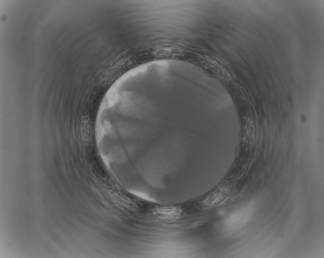 X0000067390659200604211635