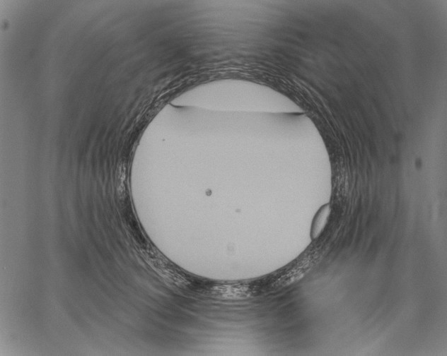 X0000067390660200604211635