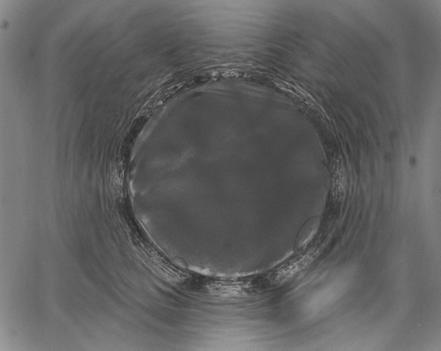 X0000067390661200604211635