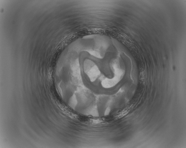 X0000067390662200604211635