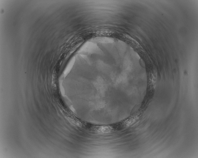 X0000067390663200604211635