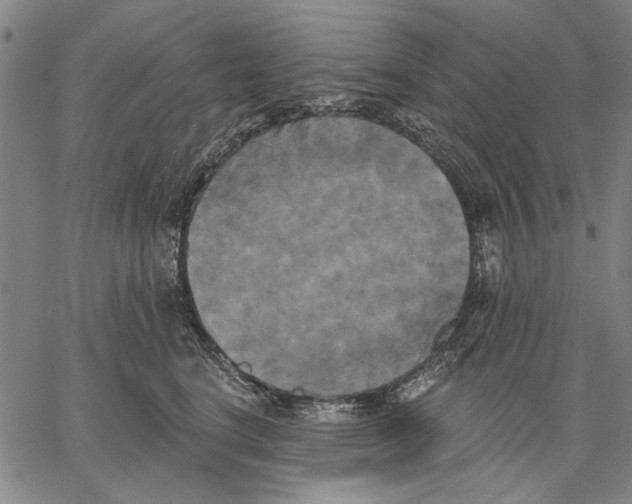 X0000067390664200604211635