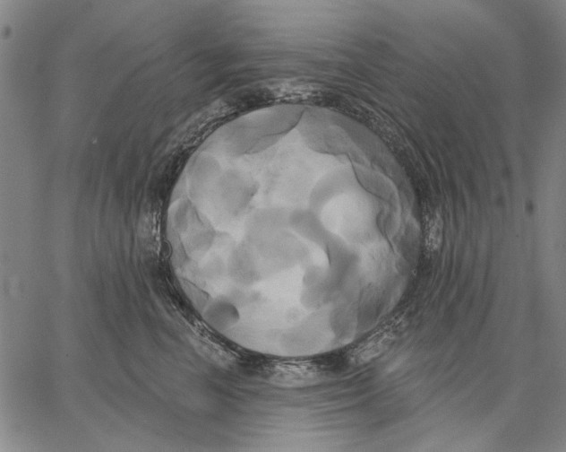 X0000067390666200604211635