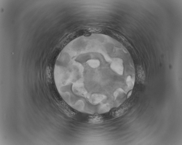 X0000067390667200604211635