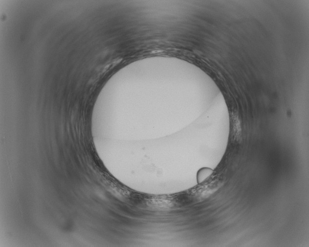 X0000067390668200604211635