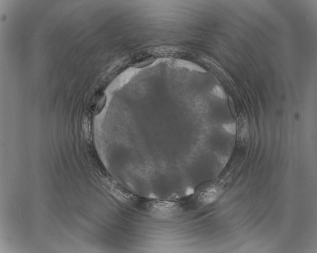 X0000067390669200604211635