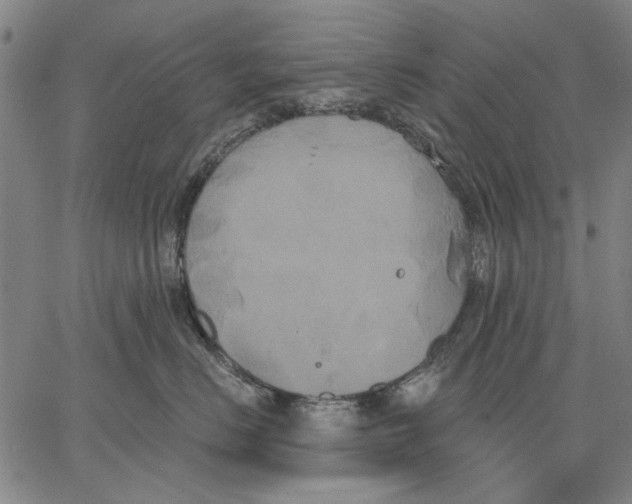 X0000067390670200604211635