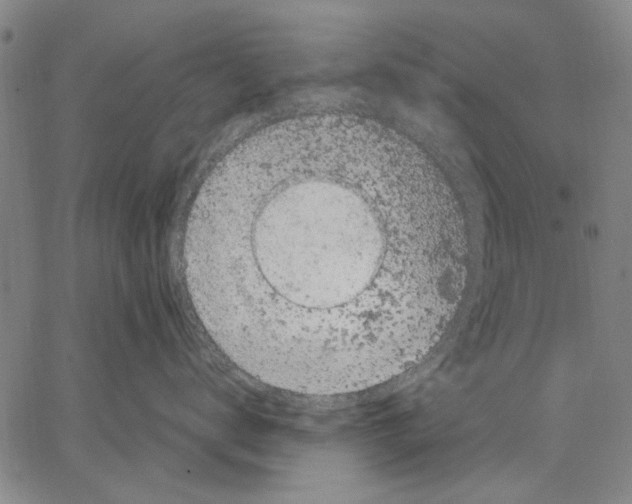 X0000067390672200604211635