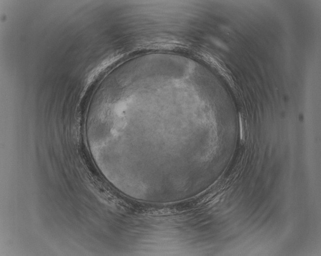 X0000067390675200604211634