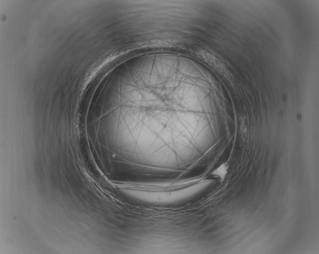 X0000067390676200604211634