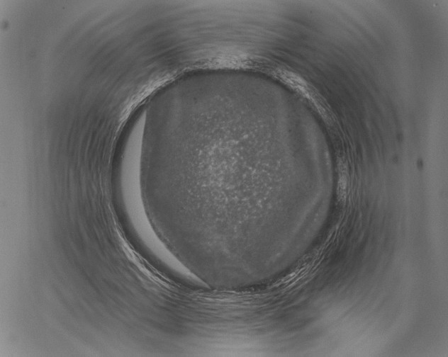 X0000067390677200604211634