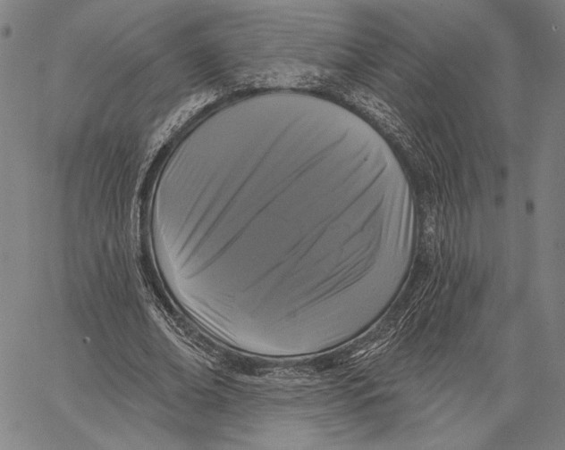 X0000067390678200604211634