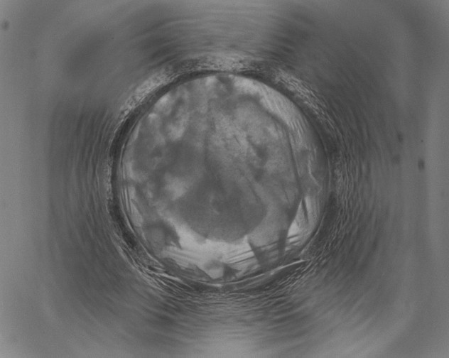 X0000067390679200604211634